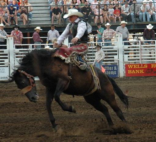 Rodeo, Molalla Buckeroo-dsc_6512c.jpg