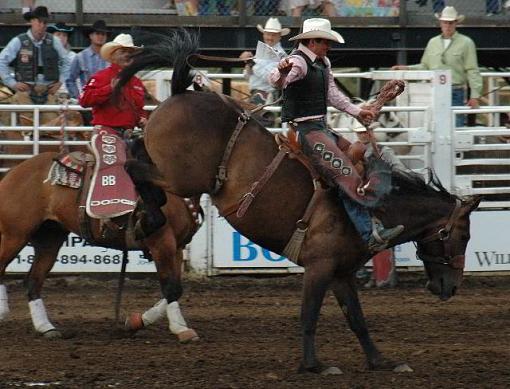 Rodeo, Molalla Buckeroo-dsc_6517c.jpg