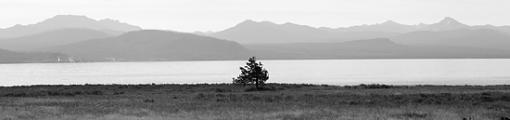 ..And yet, even more from Yellowstone!-yellowstone-lk-bw-2-lo_080306_megan-green.jpg