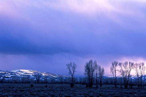 An added benefit of the gathering.. a lost roll found..-tetons1.jpg