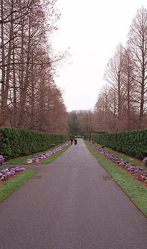 Shooting in the Rain-walkway.jpg