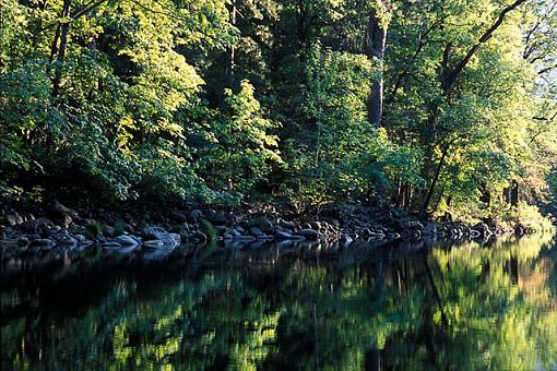 Yosemite Reflections-lc_000002_pr.jpg