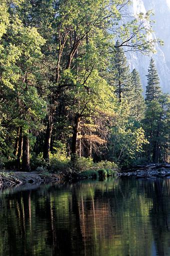 Yosemite Reflections-lc_000003_pr.jpg