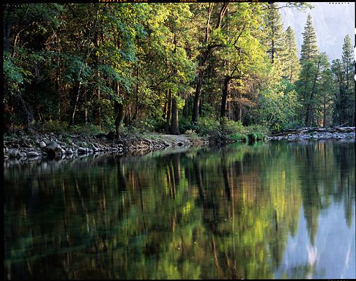 Yosemite Reflections-lc0001-adjusted-sv.jpg