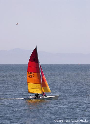 It was a Santa Barbara kind of day...-sailboat1.jpg