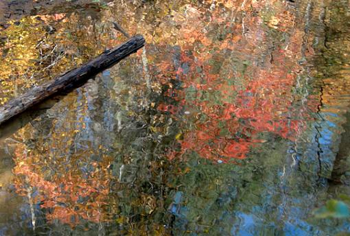 Could it be?  Fall colors in Arizona?!-reflection-1.jpg