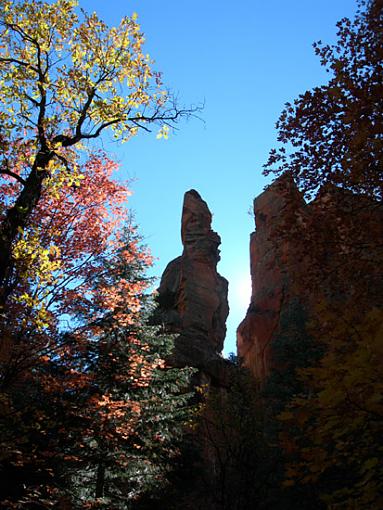 Could it be?  Fall colors in Arizona?!-pinnacle.jpg