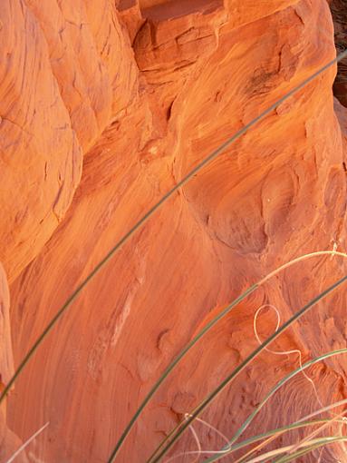 Could it be?  Fall colors in Arizona?!-sandstone-2.jpg