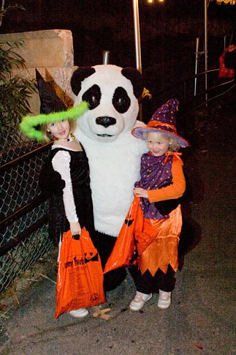 Your Halloween Pics-boo-zoo-2.jpg