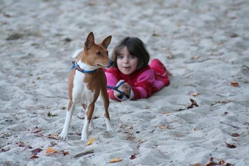 Back from Maine, etc.-walkingthedog.jpg