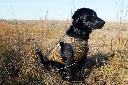 Max's First Day Day Hunting-dsc_2501_web.jpg