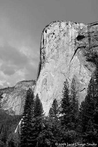 Official Yosemite Gathering Photos-el_capitan_bw.jpg