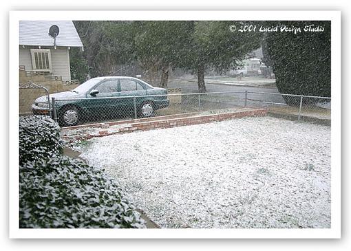 What the heck is this white stuff?-snow_yard.jpg