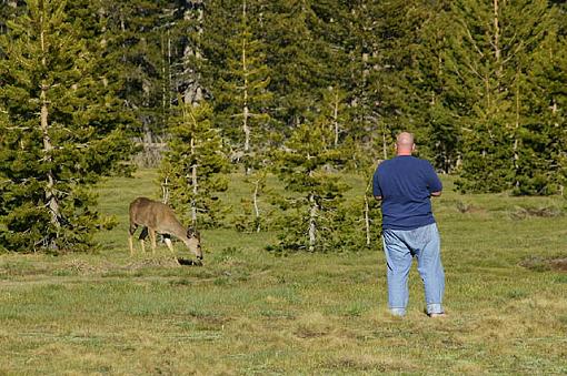 Official Yosemite Gathering Photos-brian3.jpg