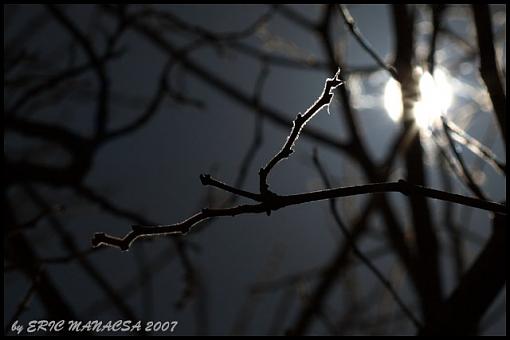 Short Notice Project: Moonlight-img_8992_crop_640.jpg