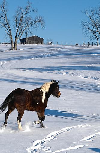 Getting Off My Duff-dsc_7433-2-640.jpg