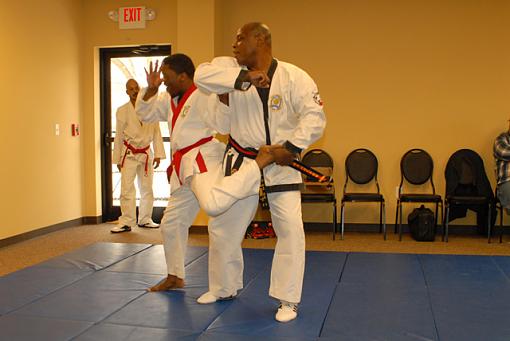 A Few From The Latest Karate Testing-dsc_7618pr.jpg