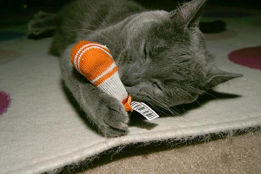 New Catnip Socks-crw_9639_jfrsmall.jpg