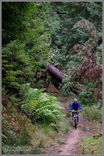 Pentax K10D Rain Ride-_igp0138.jpg