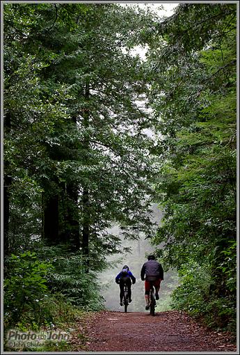 Pentax K10D Rain Ride-_igp0110.jpg