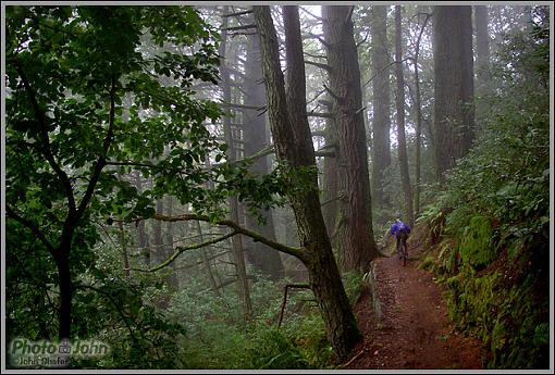 Pentax K10D Rain Ride-_igp0156.jpg