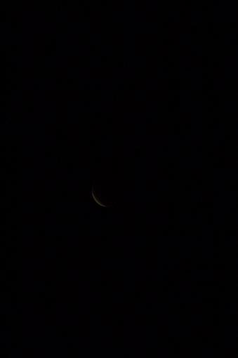 Lunar Eclipse Saturday!-dsc_0966.jpg