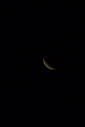 Lunar Eclipse Saturday!-dsc_0987.jpg