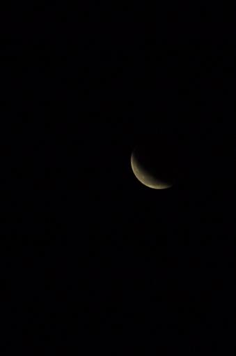 Lunar Eclipse Saturday!-dsc_0998.jpg