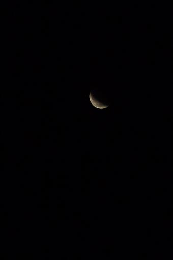 Lunar Eclipse Saturday!-dsc_1012.jpg