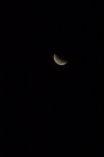 Lunar Eclipse Saturday!-dsc_1020.jpg