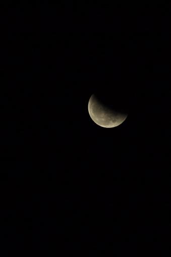 Lunar Eclipse Saturday!-dsc_1026.jpg