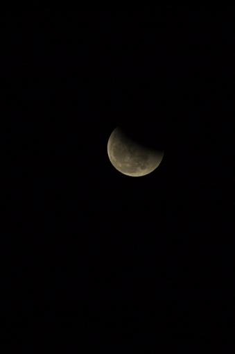 Lunar Eclipse Saturday!-dsc_1046.jpg