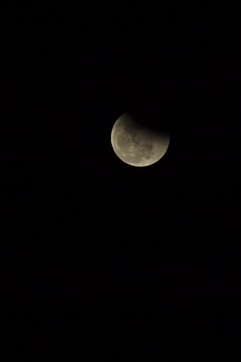 Lunar Eclipse Saturday!-dsc_1058.jpg