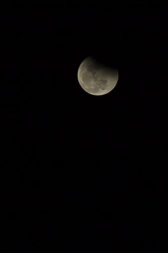 Lunar Eclipse Saturday!-dsc_1068.jpg