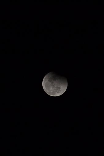 Lunar Eclipse Saturday!-dsc_1083.jpg