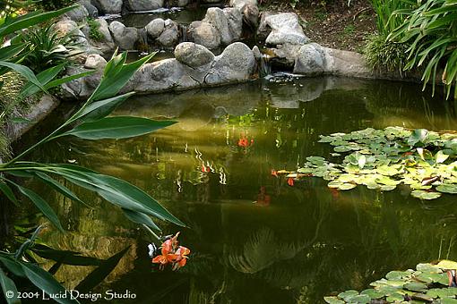 Pictures from the Huntington Library-garden_eden1.jpg