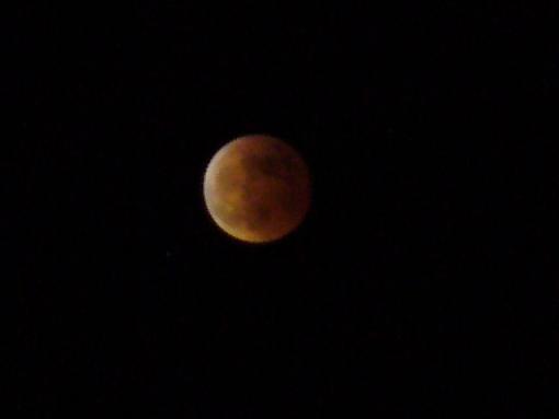 Eclipse-p1000724.jpg