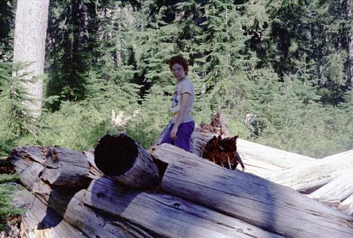 Old Mt St Helens Before Photos-old-mine-cabin.jpg