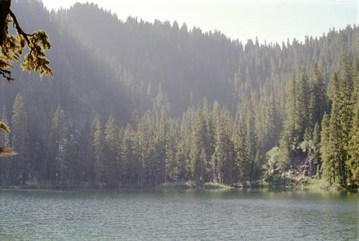 Old Mt St Helens Before Photos-donny-brook-bay-spirit-lake.jpg