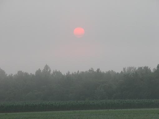 Venus Transit Photo's - Volume 1-coolpix5700-venus-transit-05-pr.jpg