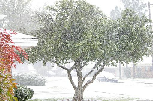 To Quote OT: April in West Texas-snowy-west-texas.jpg