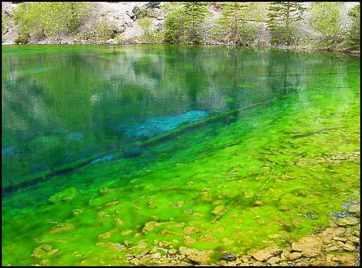 Natural neon impressionism sort of...-lots-algaes.jpg