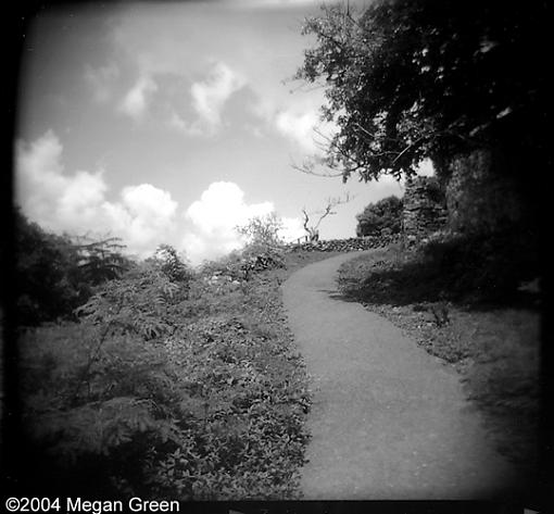 New Holga work-to_annaberg.jpg