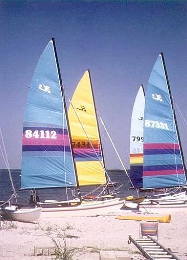 Summer Sailboats-sailboats1.jpg