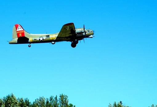 Vintage War Bird B-17-b-17-small.jpg