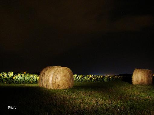 more painting with lights-hayseed.jpg