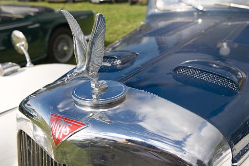 Hood ornaments-vv9w6445.jpg