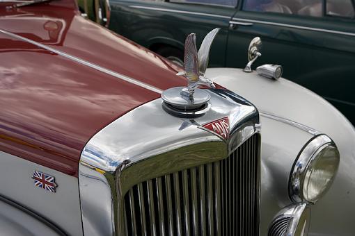 Hood ornaments-vv9w6491.jpg