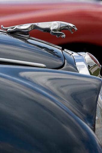 Hood ornaments-pa3p6912.jpg