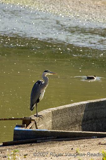 UK Members ... Met-_mg_2308-crop-640.jpg